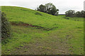 Field near Spriddlescombe Manor