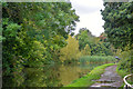 Wordsley : Stourbridge Canal