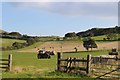 Stacking bales at Underhill