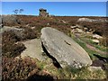 SK2580 : Abandoned millstone below Mother Cap  by Graham Hogg