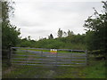 Watery hazard - Roughley, West Midlands