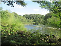 River  Teviot  from  Borders  Abbeys  Way