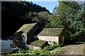 SK2066 : Old Mill beside the River Lathkill by Chris Heaton