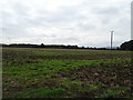 Field near Atherstone Hill Farm