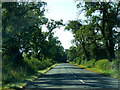 Road between Cold Ashby and West Haddon