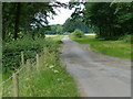 Bridleway at Westland Wood, Exton