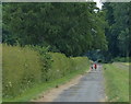 Public bridleway towards Exton Park