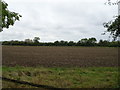 Field, Longdon