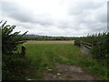 Field entrance off Campden Road (B4035)