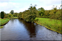 H4569 : Drumragh River, Drumragh / Lissan by Kenneth  Allen