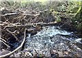 A natural bridge over the River Clydach