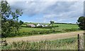 H8821 : View across the County Water to a farm and outbuildings in the Republic by Eric Jones