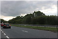 The A31, Winchester