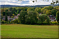 Kinver : Grassy Field