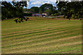 Kinver : Grassy Field