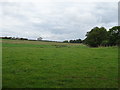 Grazing, Sibford Heath