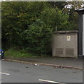 Cabinet alongside Newport Road, Bedwas