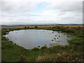 SX5465 : Pool on the summit of Wigford Down by David Purchase