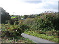 The road to Fernworthy Reservoir