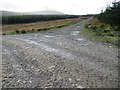 New track near Lurgiescleuch by Hobkirk in the Scottish Borders