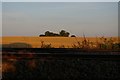 Looking across the railway at Saxmundham Junction