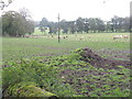 Farmland near Kinneddar