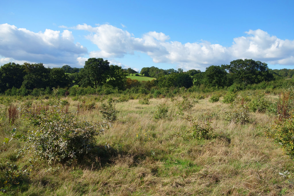 Green Belt Landscape near Harrow © Des Blenkinsopp :: Geograph Britain ...