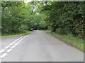 Peters lane approaching Whiteleaf Hill