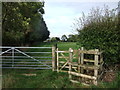 Gate near Common Farm