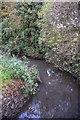 Newcastle-Under-Lyme : Lyme Brook