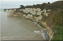 SZ0582 : Chalk cliffs west of Handfast Point by Derek Harper