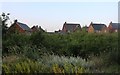 Houses by The Branston Way, Kempston