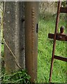 Metal gatepost: detail