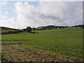 Farmland near Langton Farm