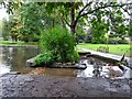 Stream in Bradbourne Lakes