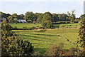 Staffordshire pasture south-west of Longsdon, Staffordshire