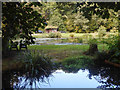 TQ0247 : Pond at Chilworth by Des Blenkinsopp