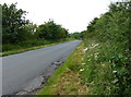 Country lane towards North Witham