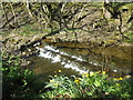 Small waterfall on Middlehope Burn