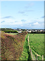 Path between hedge and fence