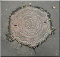 Stanton and Staveley "Saracen" manhole cover