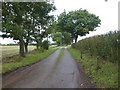 The driveway to Burnt House Farm