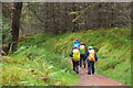 NN3527 : West Highland Way, Strath Fillan forest by Jim Barton