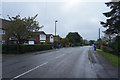 Recycling day on Rushy Lane