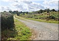 Farm drive off the Lisleitrim Road