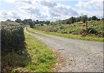 H9020 : Farm drive off the Lisleitrim Road by Eric Jones