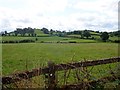 Shapely drumlins South of the Lisleitrim Road