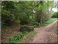 Path and footbridge beside Crail kirkyard