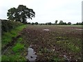 Farmland near The Wood House