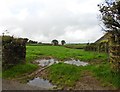 Flooded field entrance near Firebeacon Cross